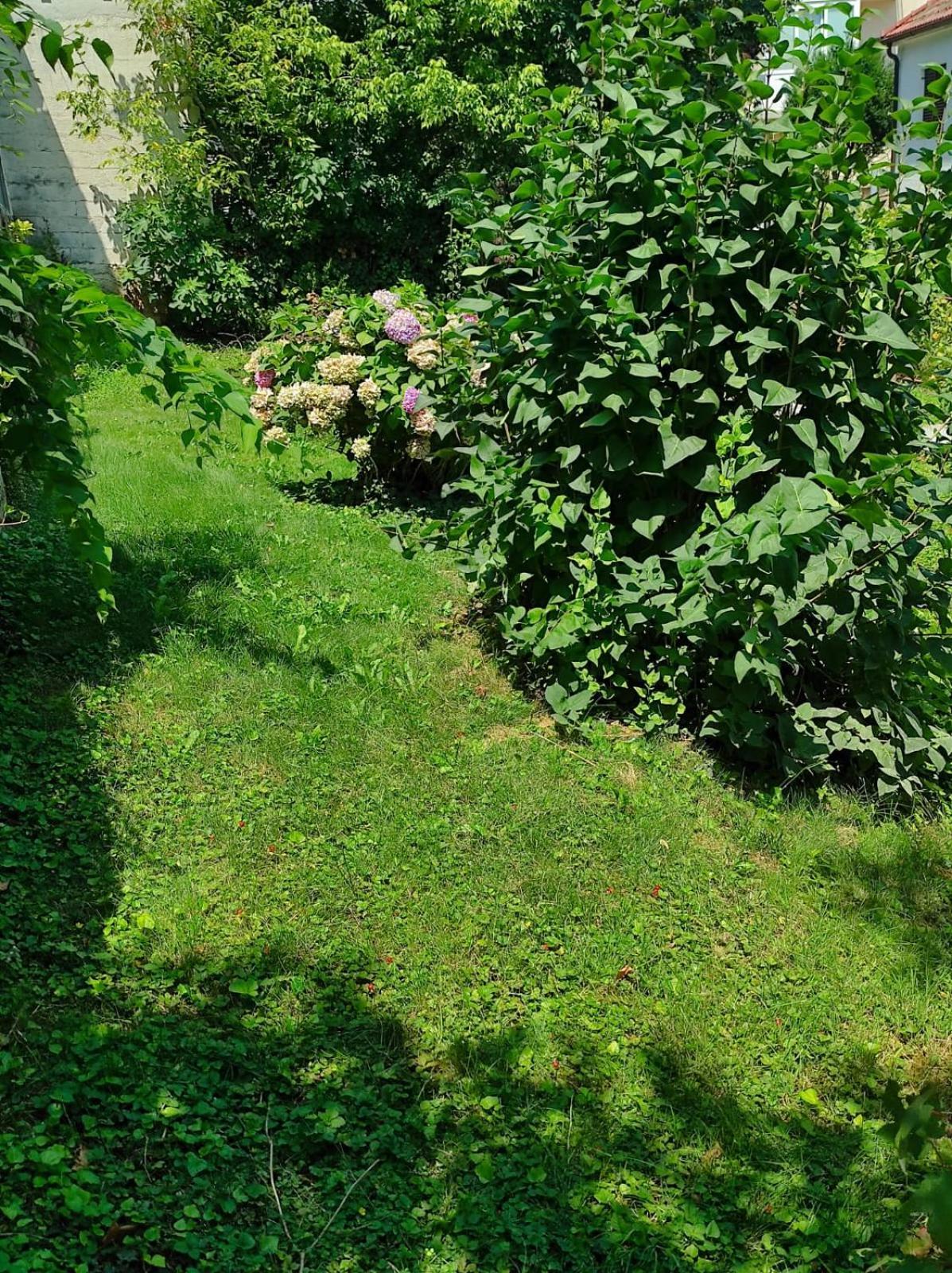 Apartman Zagreb,Rebro,Maksimir,Centar Marko Kültér fotó