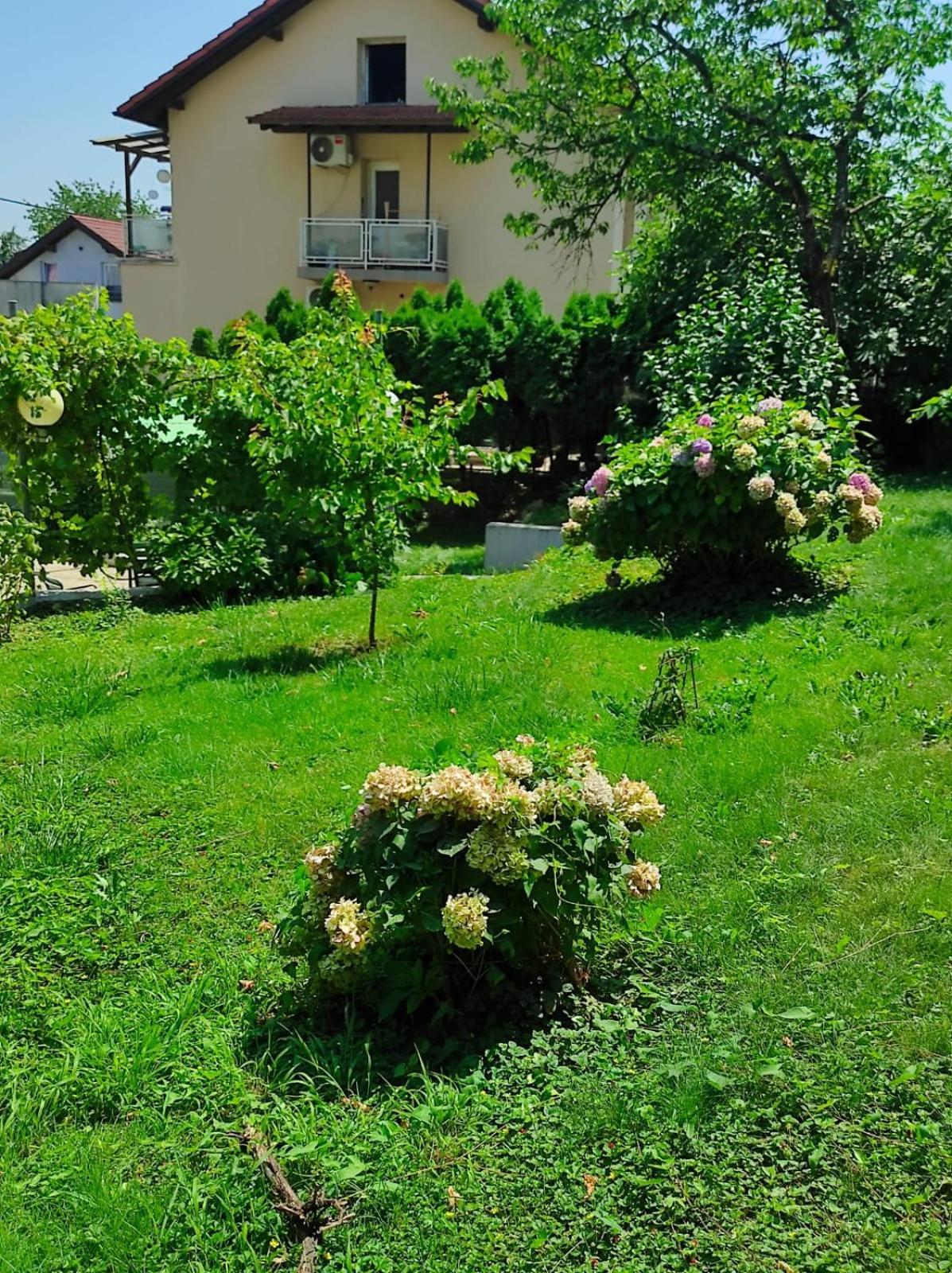 Apartman Zagreb,Rebro,Maksimir,Centar Marko Kültér fotó